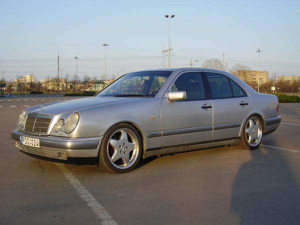 W 210 puvesis
